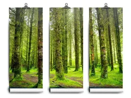 fototapeta-lateks-latex-drzewa-152x104-klej