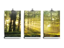 fototapeta-lateks-jesienia-250x104-klej