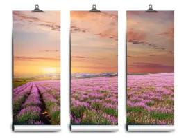 fototapeta-lateks-latex-pole-152x104-klej