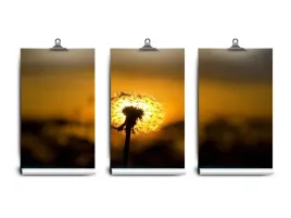 fototapeta-lateks-dmuchawiec-250x104-klej