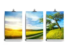 fototapeta-lateks-drzewo-laka-250x104-klej