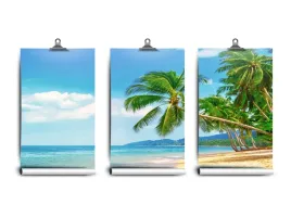 fototapeta-lateks-palmy-plaza-250x104-klej