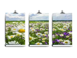 fototapeta-lateks-i-laki-kwiaty-250x104-klej
