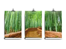 fototapeta-lateks-las-bambusowy-250x104-klej