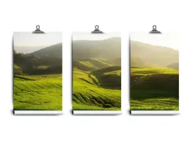 fototapeta-lateks-herbaty-plantacja-250x104