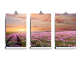 fototapeta-lateks-latex-pole-250x104-klej