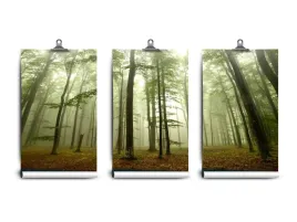 fototapeta-lateks-las-mglisty-250x104-klej