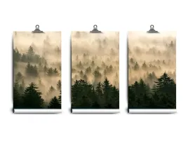 fototapeta-lateks-las-mglisty-250x104-klej