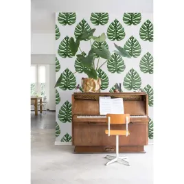 fototapeta-monstera-egzotyczne-liscie-152x104-cm