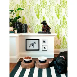 tapeta-lateksowa-liscie-limonki-360x250-cm-klej