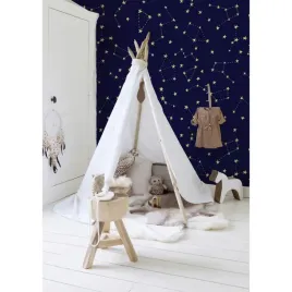 tapeta-lateks-nocne-niebo-gwiazdy-416x254-cm-klej