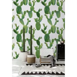 fototapeta-lateksowa-kaktusy-416x254-klej-gratis