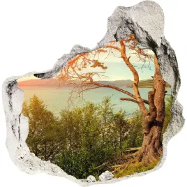 dziura-3d-w-scianie-naklejka-skandynawia-jezioro
