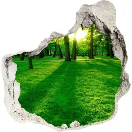 dziura-3d-w-scianie-naklejka-trawa-w-parku-75x75