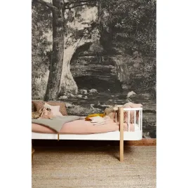 fototapeta-do-salonu-ciemny-las-vintage-416x254-cm
