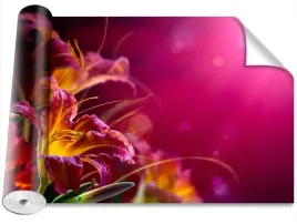 fototapeta-magicstick-lilia-fioletowy-416x254