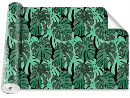 fototapeta-magicstick-liscie-monstera-416x254