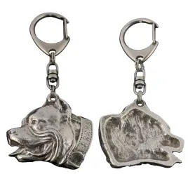 amerykanski-pitbulterier-pit-bull-american-pit-bull-terrier-pitbul-apbt