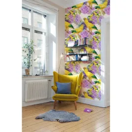fototapeta-do-sypialni-sloneczne-papugi-250x250-cm