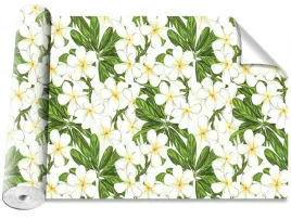 fototapeta-samoprzylepna-plumeria-kwiaty-416x254