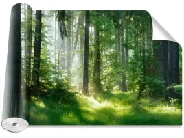 fototapeta-samoprzylepna-swierki-416x254