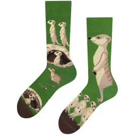 meerkat-mode-surykatki-todo-socks-47-50