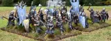 elf-heavy-infantry-elfy-30-szt