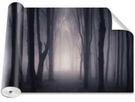 fototapeta-usuwalna-ciemny-las-416x254