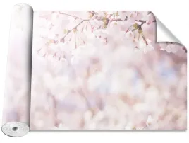 tapeta-okleina-magicstick-paki-wisniowe-416x254