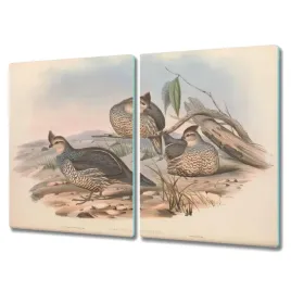 deska-ze-szkla-2x40x52-cm-ptaki-zwierzeta-rysunek