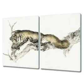 deska-szklo-2x40x52-cm-zwierze-wiewiorka-oddzial