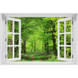 3d-okno-naklejka-na-sciane-wiosenny-las-120x80