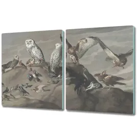 szklana-deska-do-krojenia-vintage-sowy-2x-40x52-cm