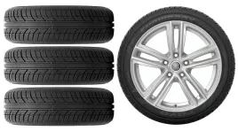 kola-zima-do-skoda-scala-nw-toyo-195-60r16-2