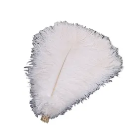 piora-strusie-piora-strusia-35-40cm-1szt