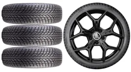 kola-zima-do-skoda-octavia-4-nx-nokian-225-45r18