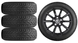 kola-zima-do-skoda-octavia-4-nx-riken-205-55r17-40
