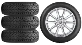 kola-zima-do-skoda-octavia-4-nx-riken-205-55r17-42