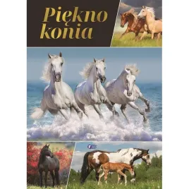 piekno-konia-album-i-ciekawostki-o-koniach-dla-dzieci