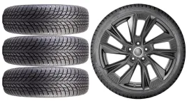 kola-zima-do-skoda-octavia-4-nx-nokian-225-40r19