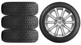 kola-zima-do-skoda-kamiq-nw-riken-205-55r17-22