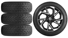 kola-zima-do-skoda-superb-3t-riken-215-55r17-2