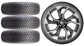 kola-zima-do-skoda-octavia-4-nx-nokian-225-40r19