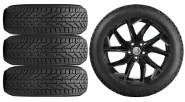 kola-zima-do-skoda-kamiq-nw-riken-205-55r17