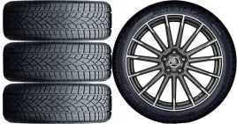kola-zima-do-skoda-karoq-dunlop-235-40r19-18