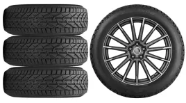 kola-zima-do-skoda-octavia-4-nx-riken-205-55r17-11