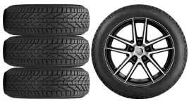 kola-zima-do-skoda-octavia-4-nx-riken-205-55r17-38