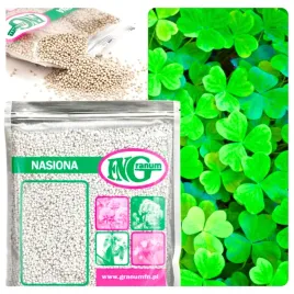 mikrokoniczyna-koniczyna-drobnolistna-nasiona-500-g-zageszczajaca-trawnik