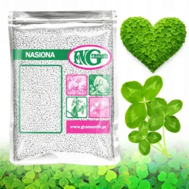 mikrokoniczyna-koniczyna-drobnolistna-biala-nasiona-500-g-zageszczajaca