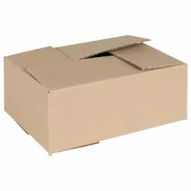 pudelko-skladane-50-szt-naturalny-25-x-175-x-10-cm-tektura